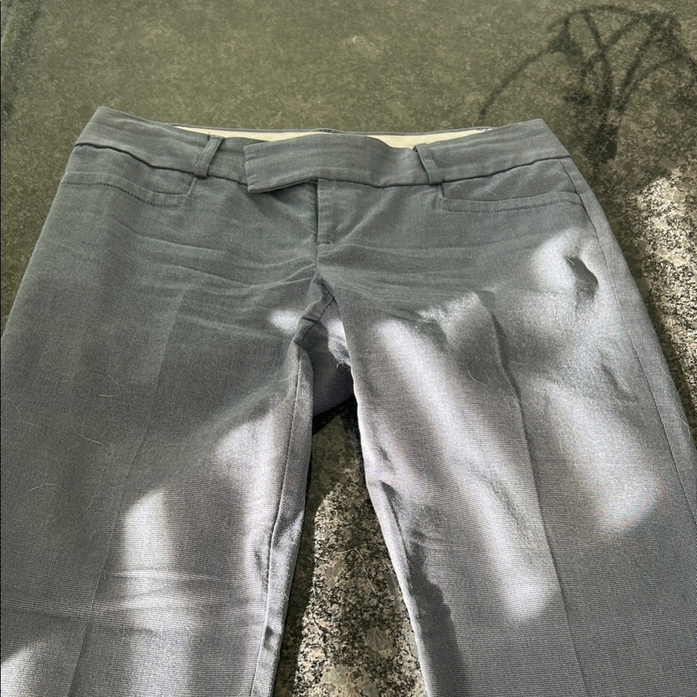 Banana Republic Navy and Cream Pants